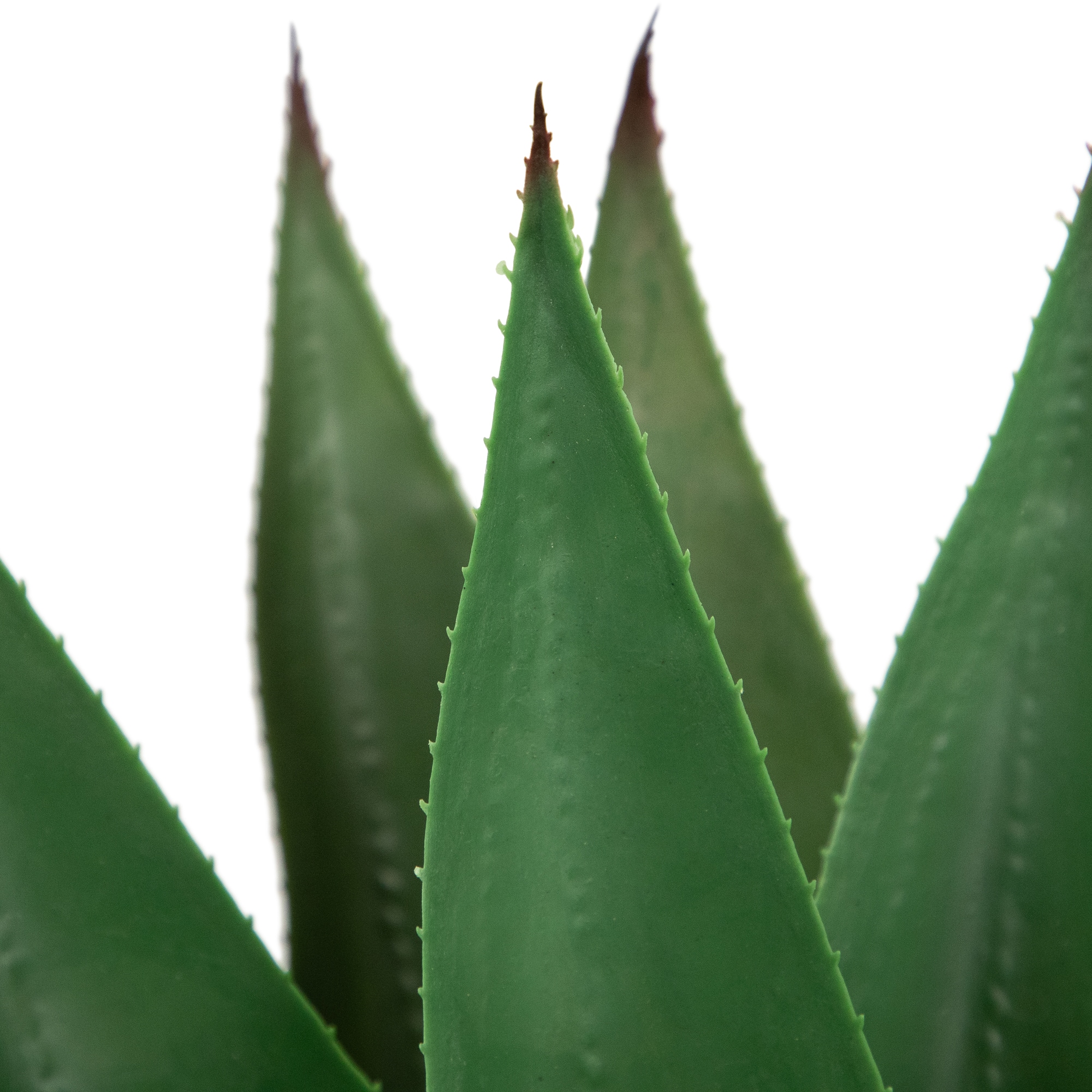 2ft. Potted Green Agave Americana Artificial Succulent Plant